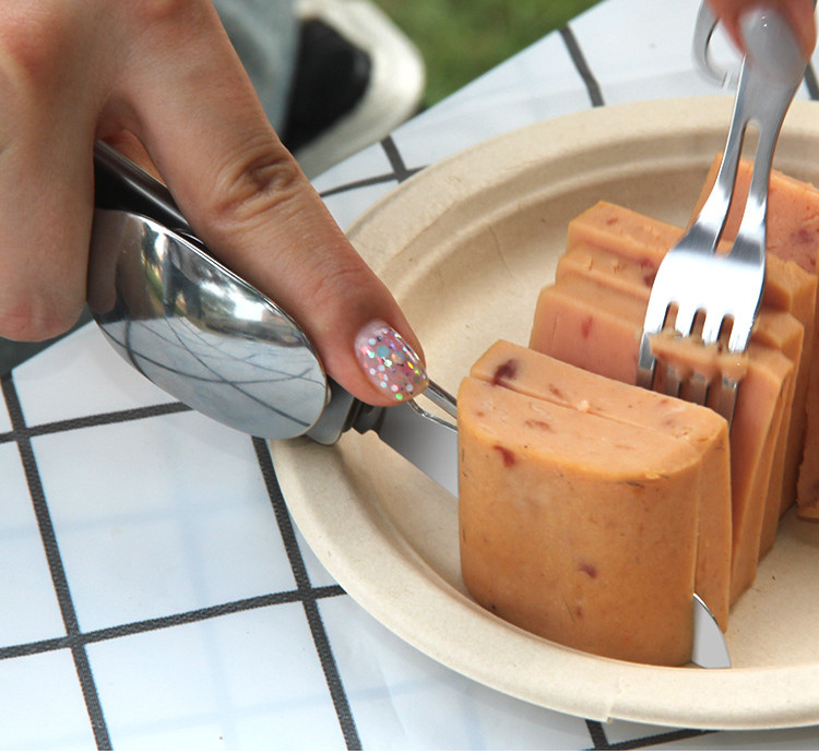 Multi-function Camping Fork Sp - Camping Cooking And Dining Set review and price