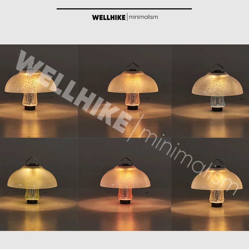 WELLHIKE Outdoor Starry Mantle - Camping Cooking Utensil Holder review and price