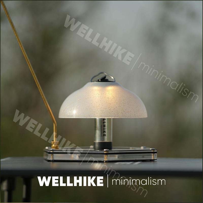 WELLHIKE Outdoor Starry Mantle - Camping Cooking Utensil Holder review and price